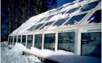 The Cucumbers In The Heat Of The Winter